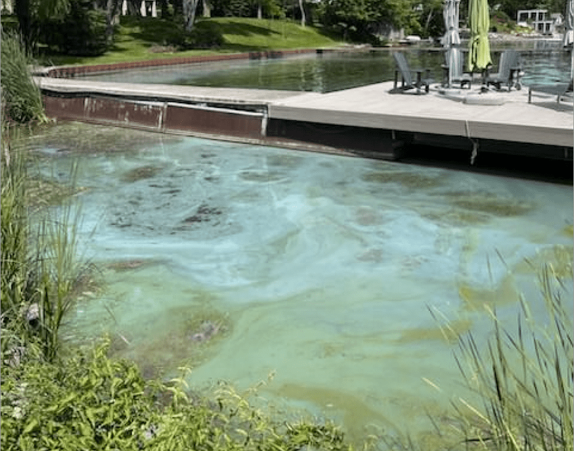 Lake Simcoe Watch: Toxic blue-green algae blooms in Lake&nbsp;Simcoe