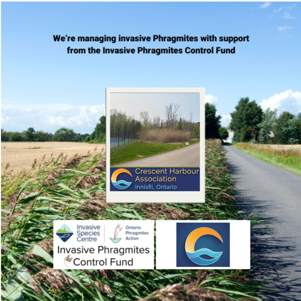 Phragmites Control Fund-Funding&nbsp;Approved!