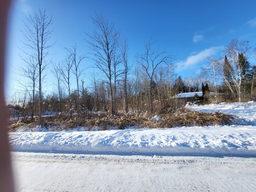 Phragmites Cut and Phase 1&nbsp;complete